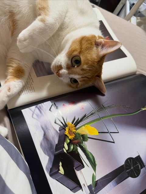 花の本と、気ままな時間。