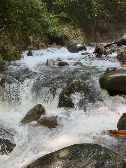 水の流れに、ひと息。